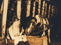 Underground at Bedlington Pit (c1925).